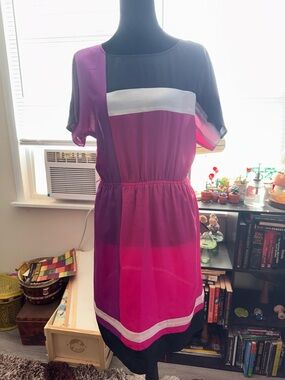 Madison Black and Fuchsia Paneled Dress